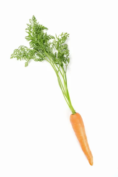 Fresh ripe carrot isolated on white — Stock Photo, Image