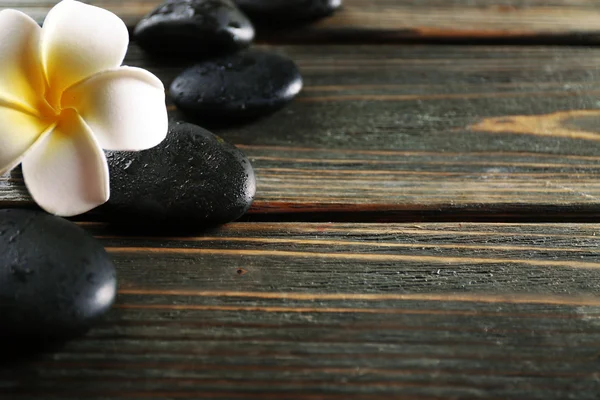 White plumeria flower with pebbles — Stock Photo, Image