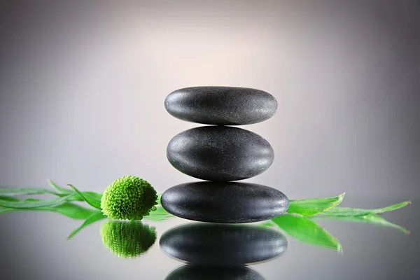 Wellness kameny a zelené větve na šedém pozadí — Stock fotografie
