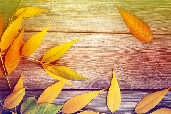 Autumn leaves on wooden background — Stock Photo, Image