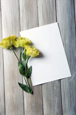 Beyaz sayfa kompozisyonu 