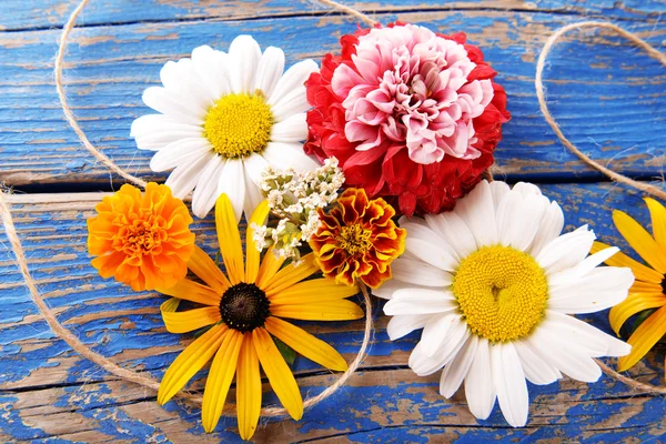 Fresh colorful flowers — Stock Photo, Image