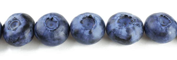 Fresh blueberries isolated on white — Stock Photo, Image