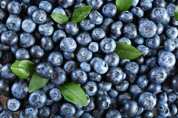 Leckere reife Blaubeeren mit grünen Blättern aus nächster Nähe — Stockfoto