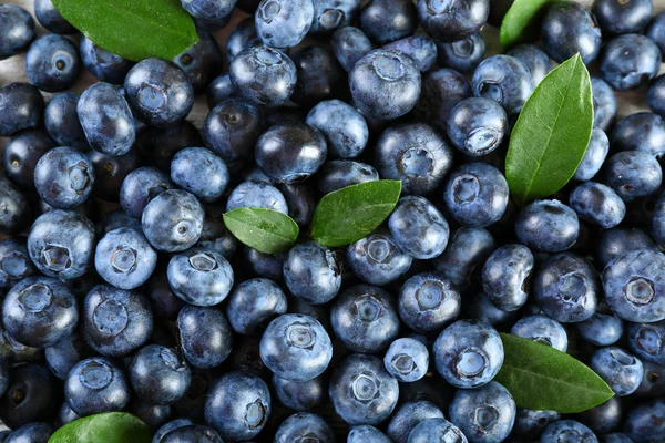 Tasty ripe blueberries with green leaves close up — Stock Photo, Image