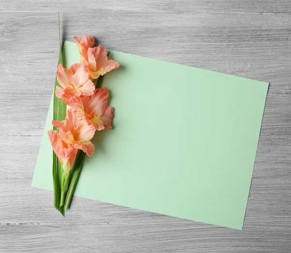 Tyhjä kortti kaunis gladiolus — kuvapankkivalokuva