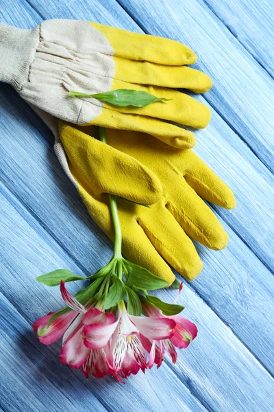 Желтые садовые перчатки — стоковое фото