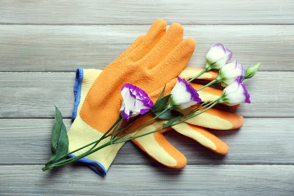 Blume und Gartenhandschuhe — Stockfoto