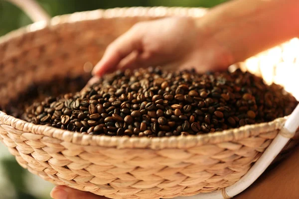 Hembra mano tocando granos de café en la cesta — Foto de Stock
