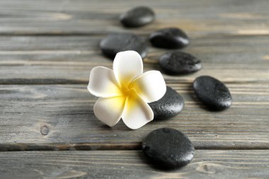 Çakıl ahşap arka plan üzerinde beyaz plumeria çiçek
