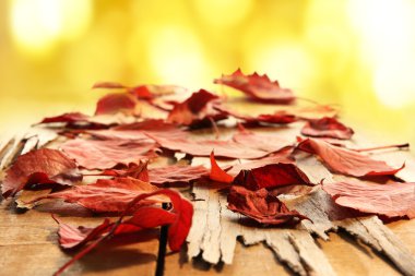 Tahta masada sonbahar yaprakları
