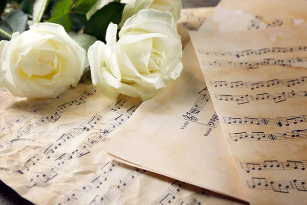 Beautiful rose on music sheets background — Stock Photo, Image