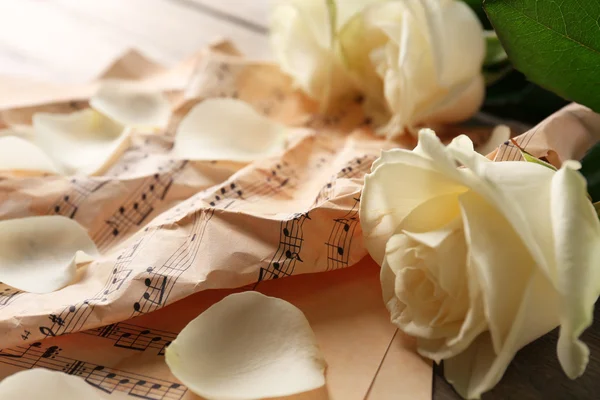 Beautiful rose on music sheets background — Stock Photo, Image