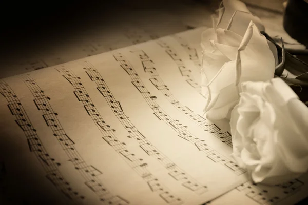 Beautiful rose on music sheets background — Stock Photo, Image