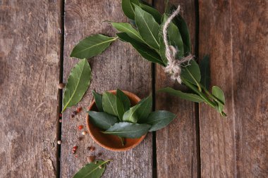 Kase taze defne yaprağı