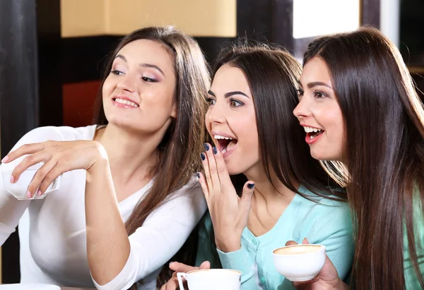 Красивые девушки веселятся в кафе — стоковое фото