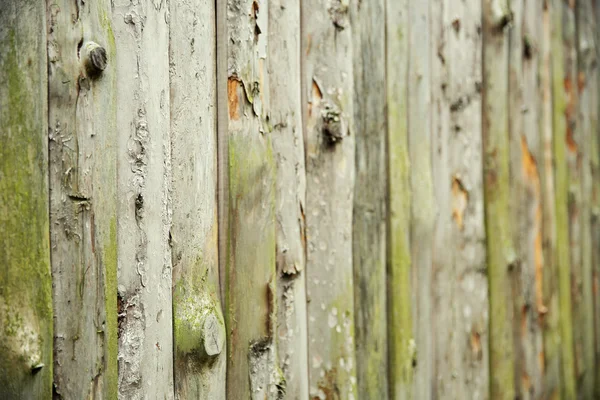 Grungy houten textuur — Stockfoto