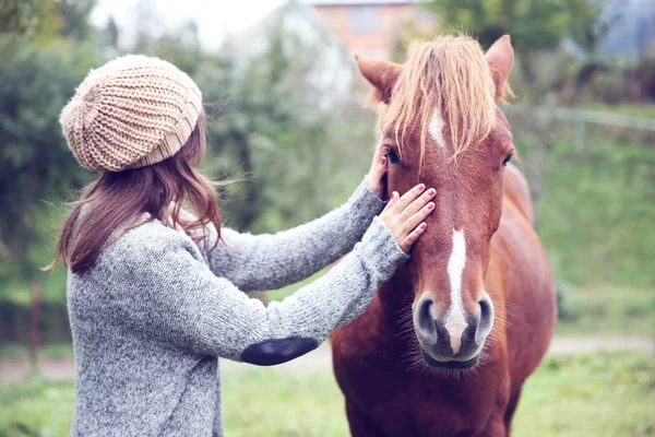 Chica alimentación caballo en prado — Foto de Stock