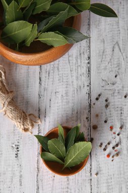 Kase taze defne yaprağı