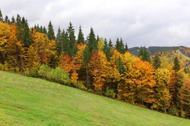 Dağlar manzara Güz