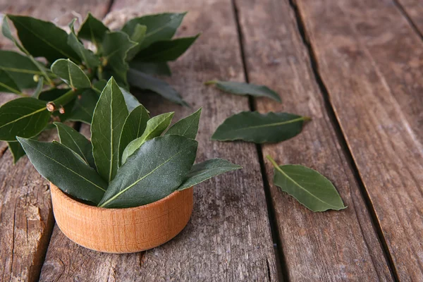 Fresh bay leaves in bowl — Stock Photo, Image