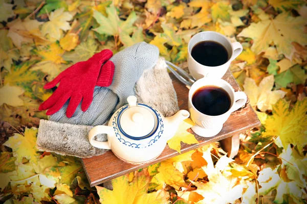 Autumn composition with hot beverage on nature background