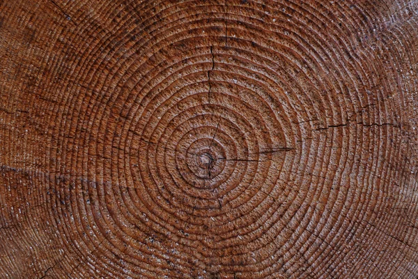 Fondo de madera abstracto — Foto de Stock