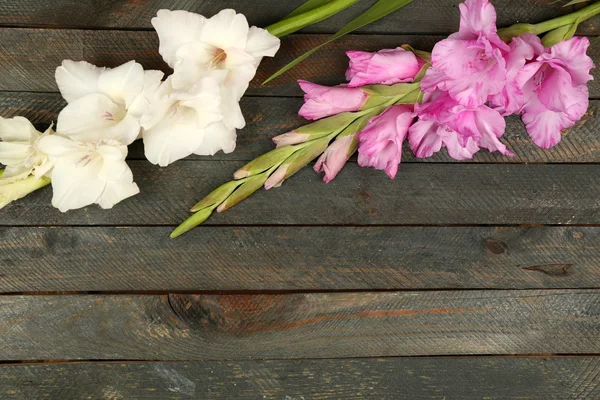 Beautiful gladiolus on wooden background — Stock Photo, Image