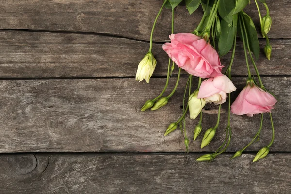 Beautiful eustoma background — Stock Photo, Image