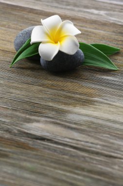 Ahşap arka plan üzerinde çiçek taşlarla Spa