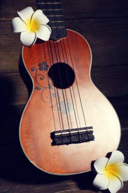Hawai gitar ve çiçekler