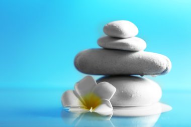 Plumeria ve çakıl su mavi arka plan