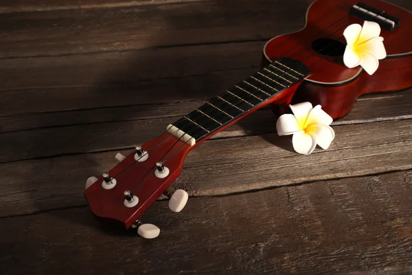 Hawaiian guitar and flowers — Stock Photo, Image