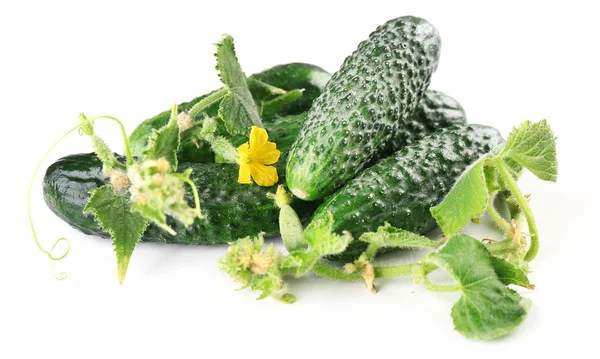 Fresh cucumbers with leafs isolated on white background — Stock Photo, Image