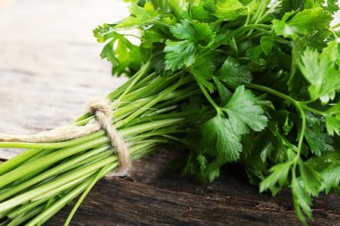 taze yeşil maydanoz