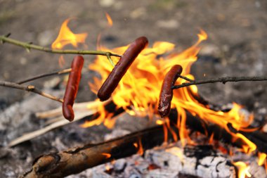Sausages on fire in the wood clipart