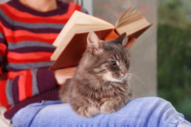 Diz kedi kadınla okuma