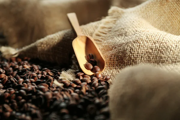 Una pala de madera y granos de café aromáticos esparcidos sobre el fondo de saqueo — Foto de Stock