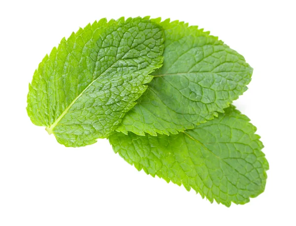 Hojas de menta fragantes aisladas en blanco, de cerca — Foto de Stock