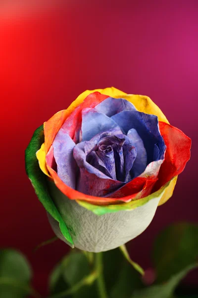 Beautiful painted rose — Stock Photo, Image