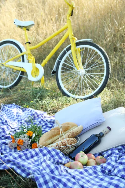 Stary rower żółty i piknik przekąska — Zdjęcie stockowe