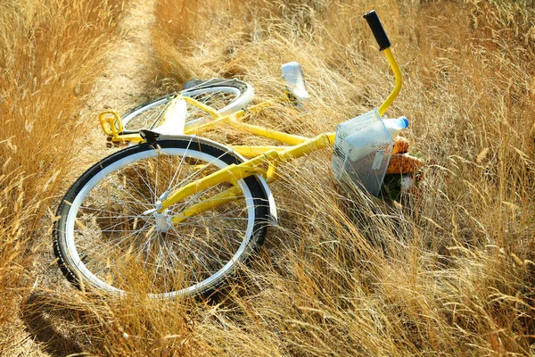 Bicicleta com buquê de flores, leite e pão — Fotografia de Stock