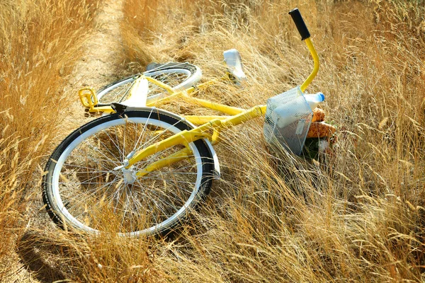 Fiets met boeket van bloemen, melk en brood — Stockfoto