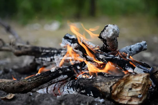 Kampvuur in het hout branden — Stockfoto