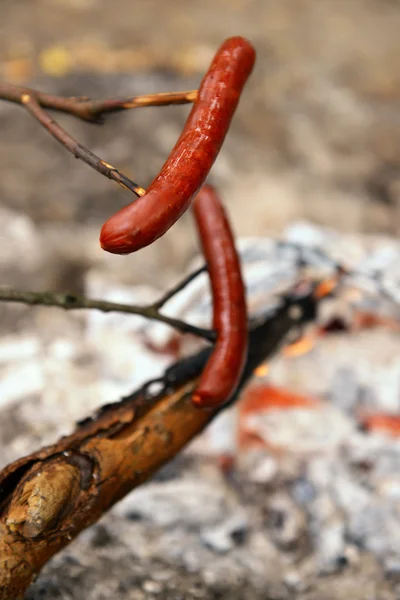 Gegrilde worstjes in het bos — Stockfoto