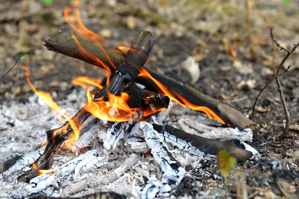 Kampvuur in het hout branden — Stockfoto