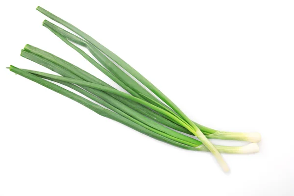 Fresh green onion — Stock Photo, Image