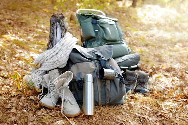 Toeristische uitrusting in het forest — Stockfoto