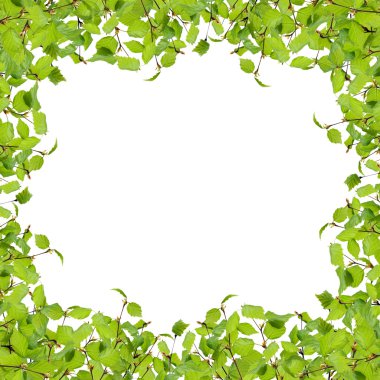 Yeşil yapraklı çerçeve 