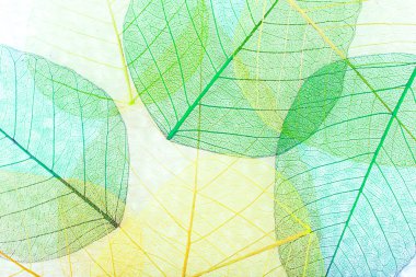 Soyut iskelet arka plan bırakır